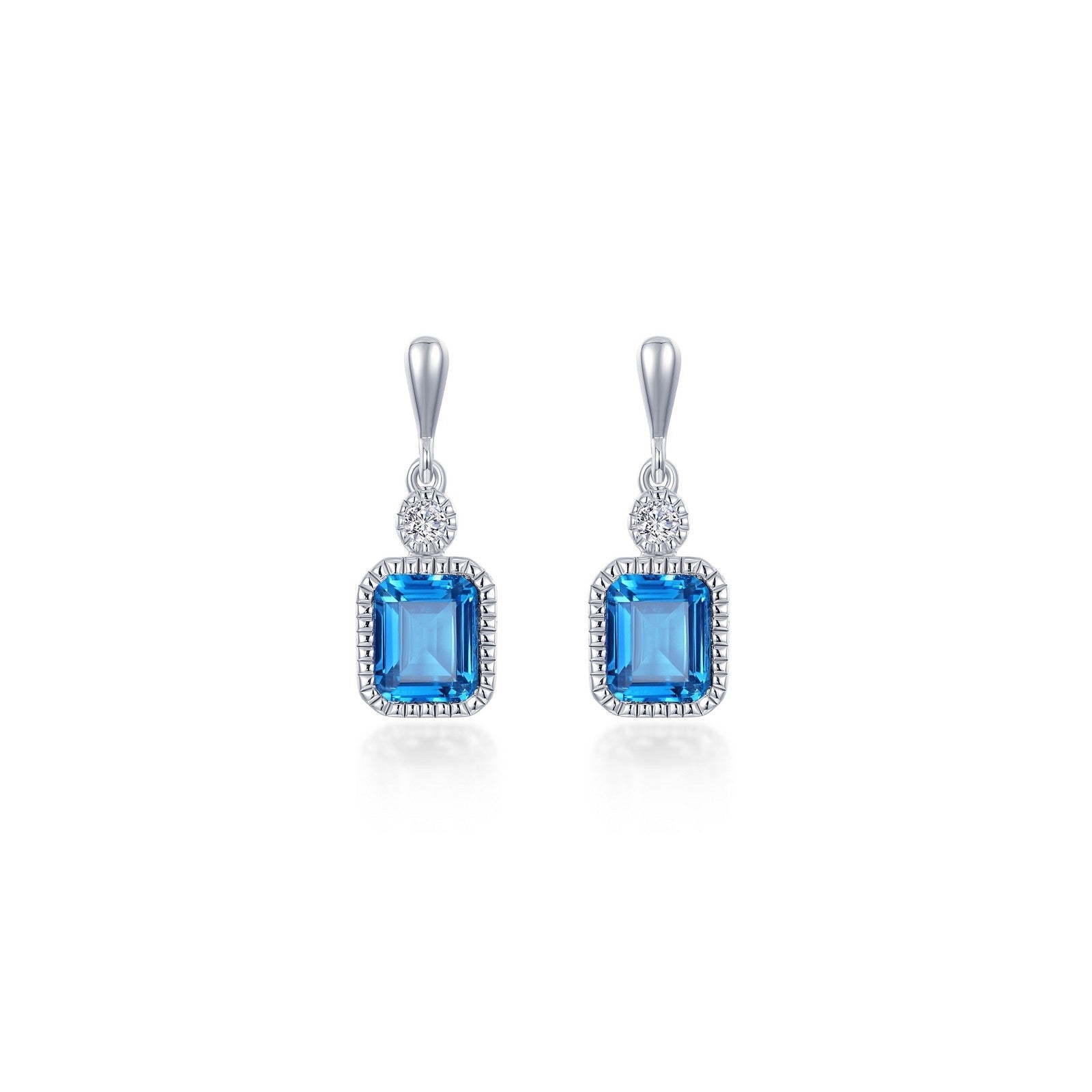 December Birthstone Earrings-BE007BTP