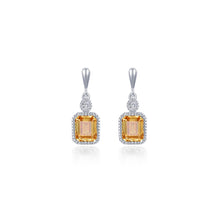 Load image into Gallery viewer, November Birthstone Earrings-BE007YTP
