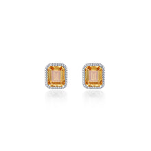 Load image into Gallery viewer, November Birthstone Solitaire Stud Earrings-BE008YTP
