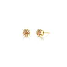 Load image into Gallery viewer, November Bezel Birthstone Earrings-BE009YTG
